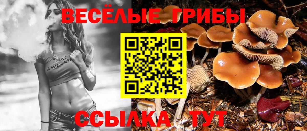Галлюциногенные грибы ЛСД  Вход с VPN  Клин 